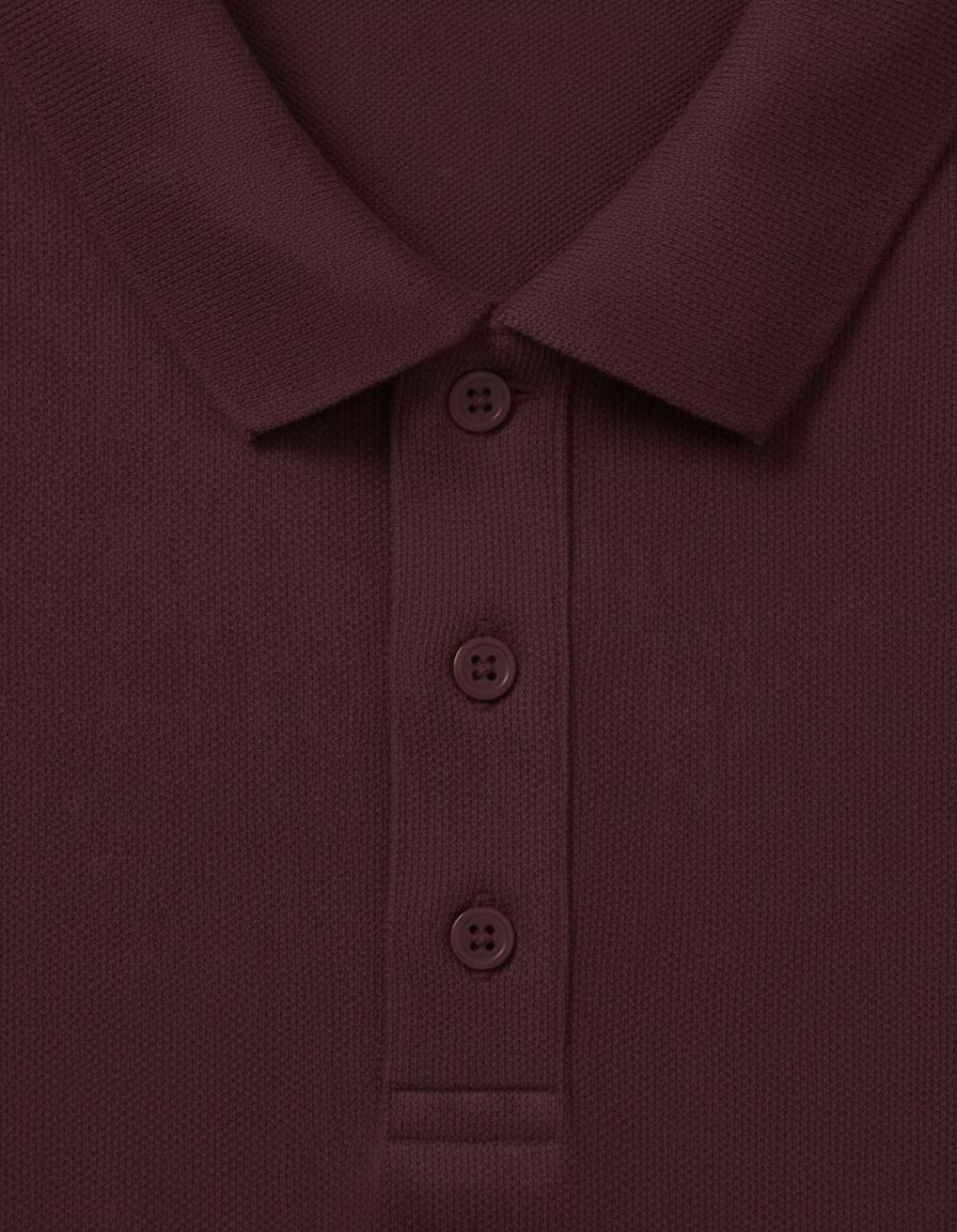 Solid Maroon Regular Fit Polo T-Shirt