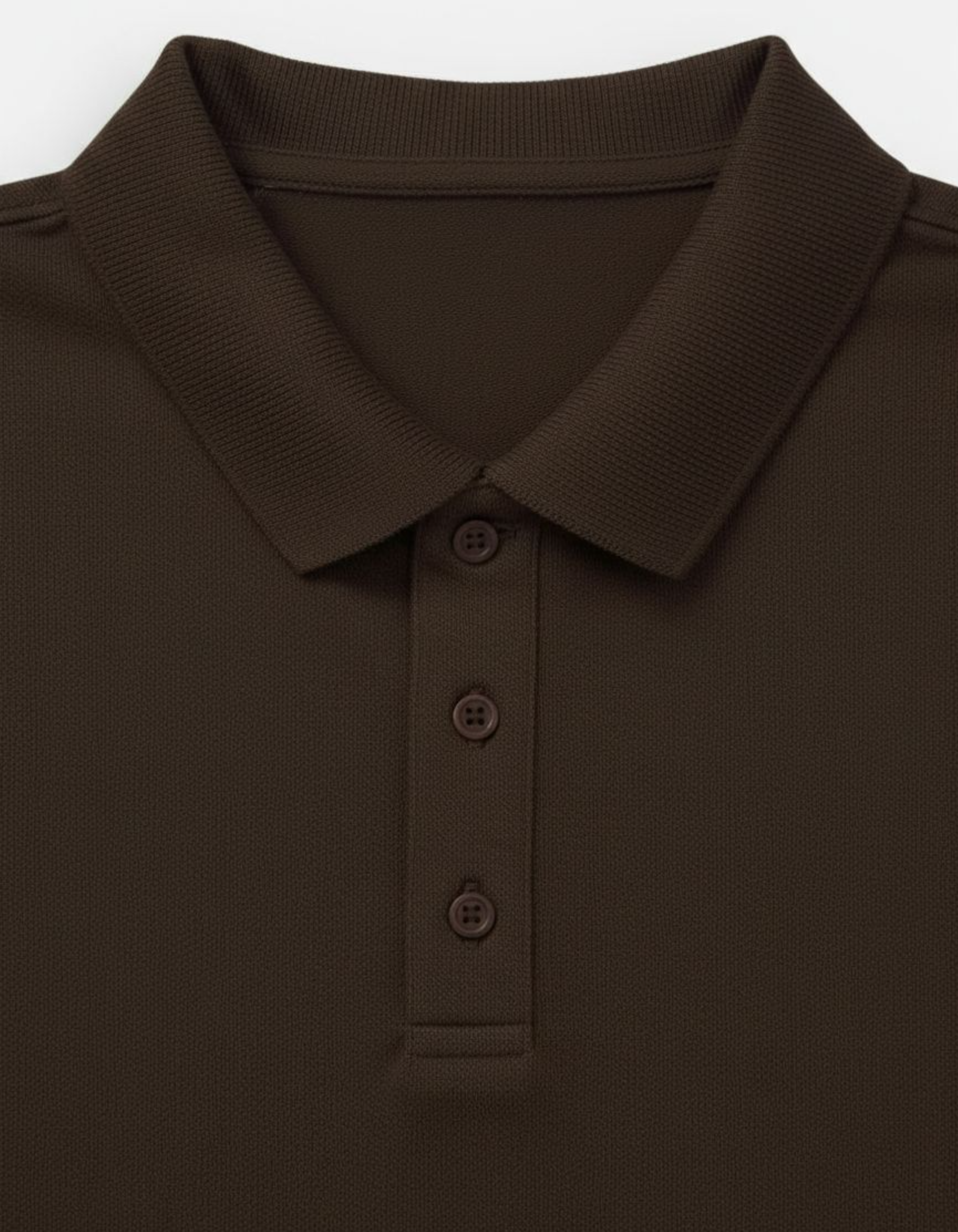 Solid Brown Regular Fit Polo T-Shirt