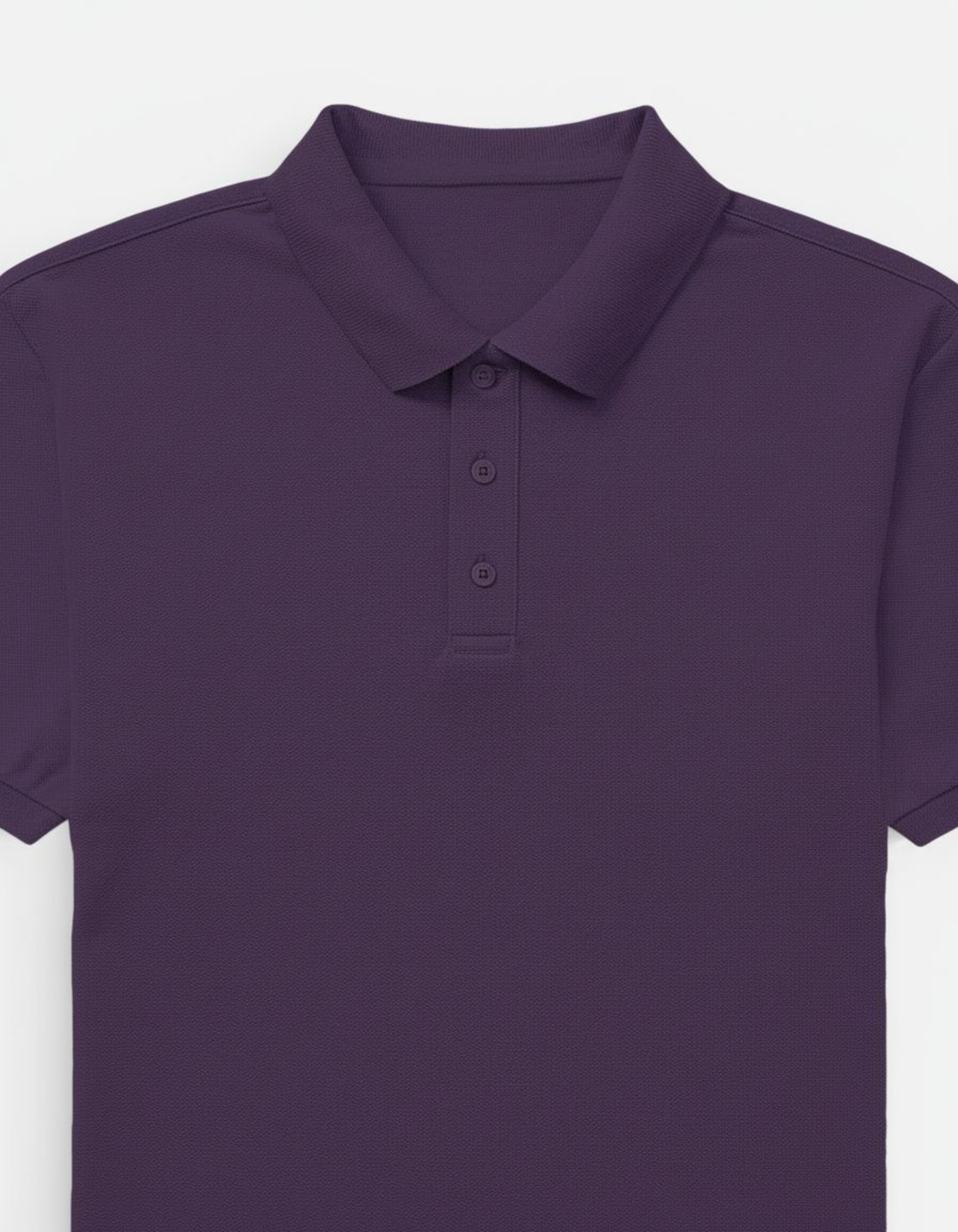 Solid Purple Regular Fit Polo T-Shirt