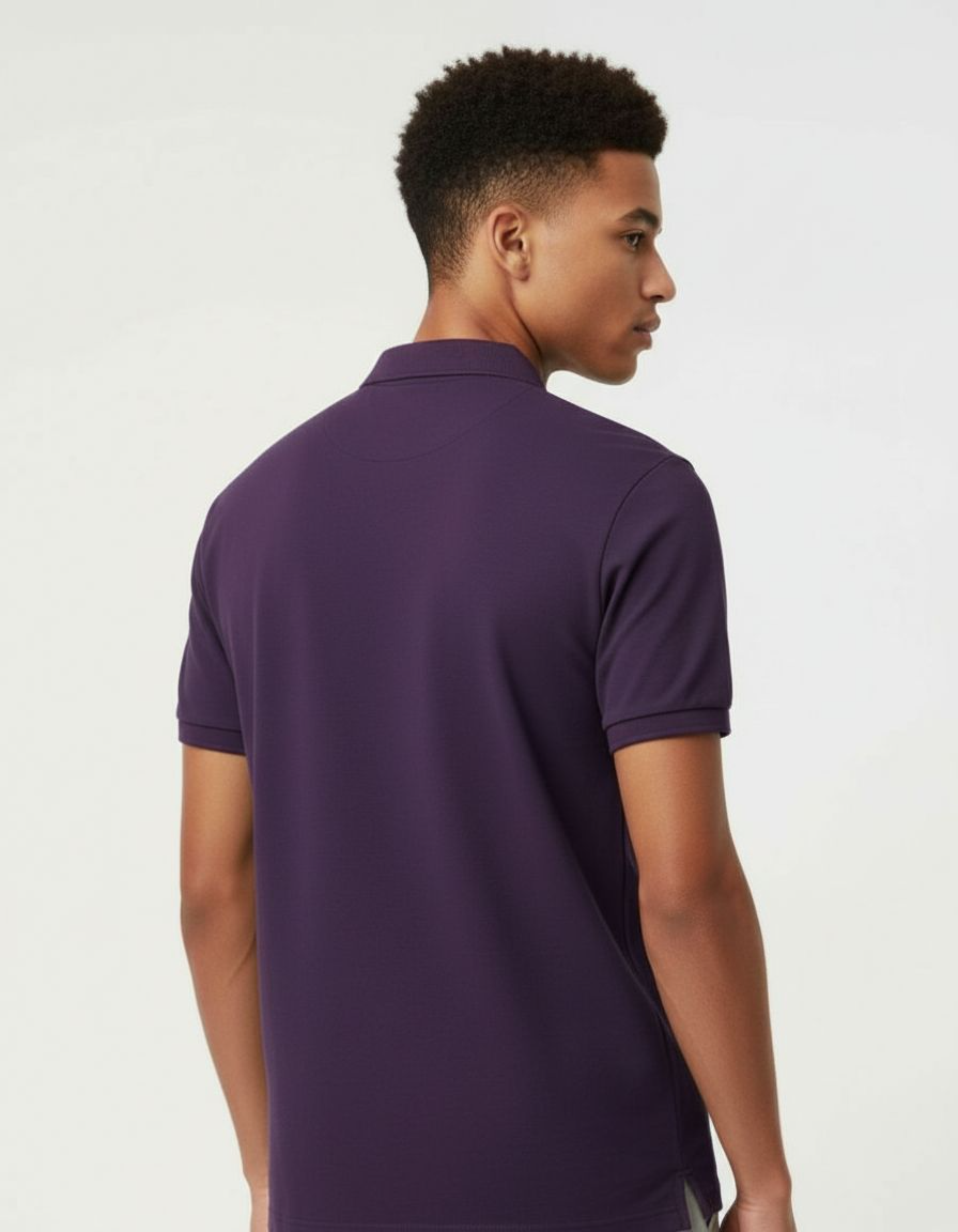 Solid Purple Regular Fit Polo T-Shirt