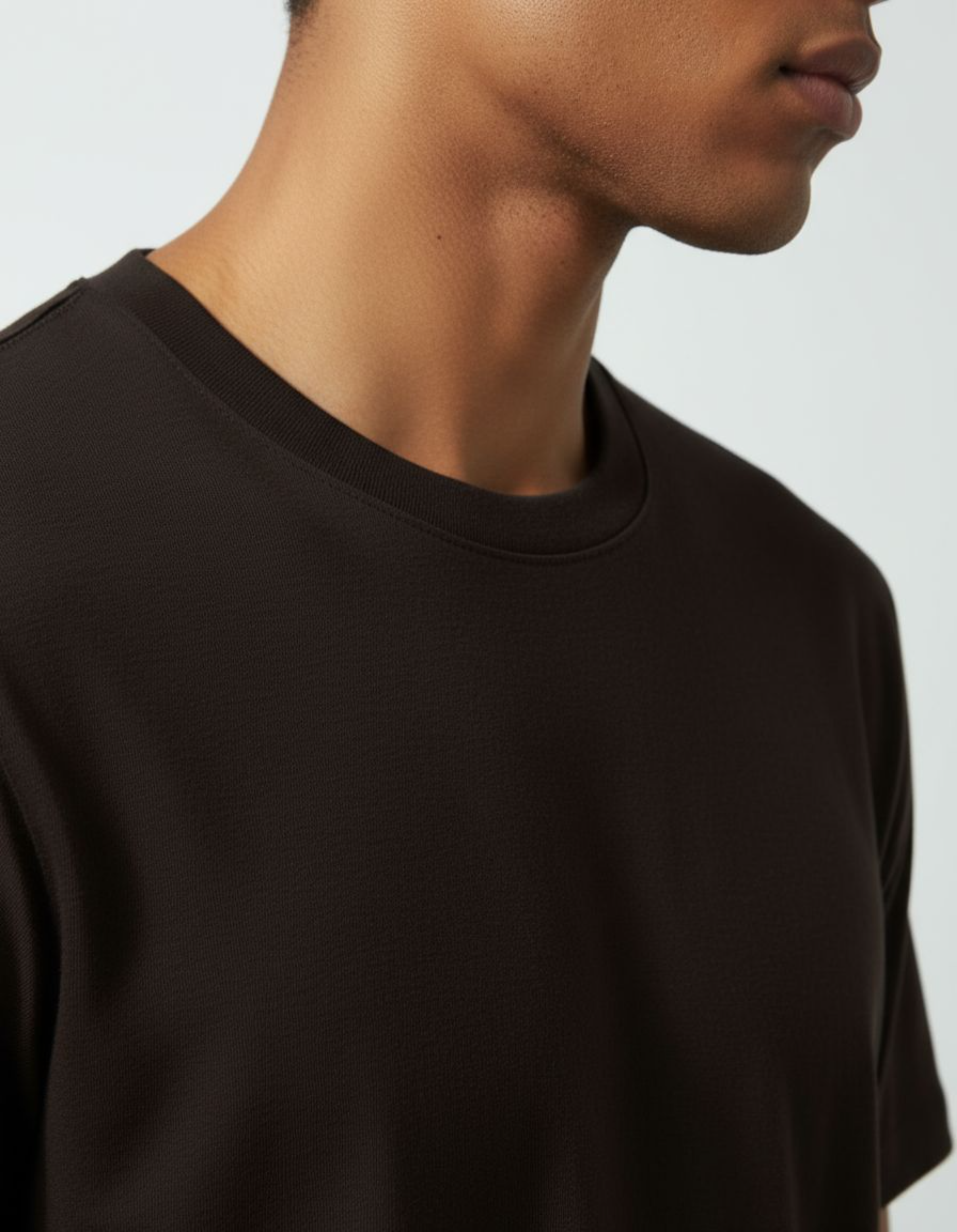 Solid Coffee Brown Regular Fit T-Shirt