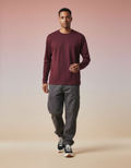 Solid Maroon Full Sleeve Regular Fit T-Shirt