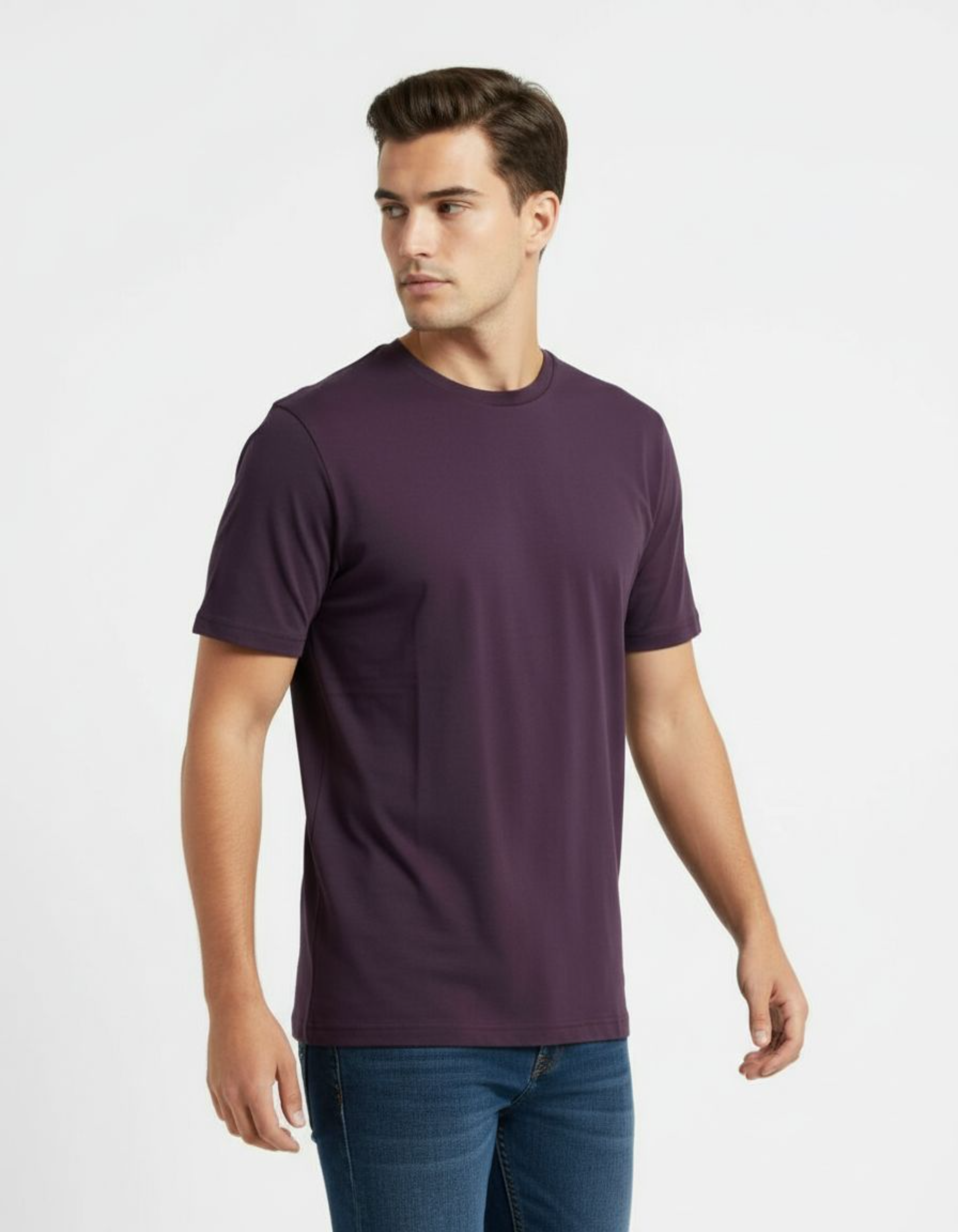 Solid Purple Regular Fit T-Shirt